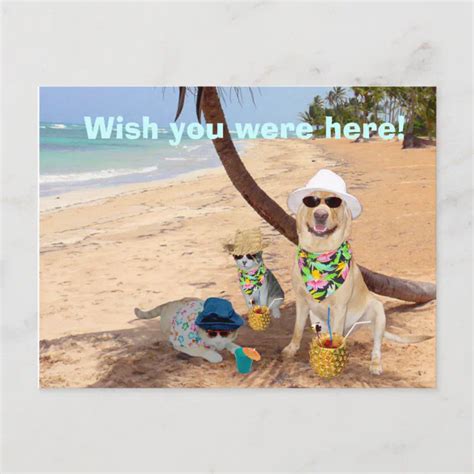 Wish You Were Here! Postcard | Zazzle