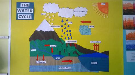 a bulletin board with water cycle on it