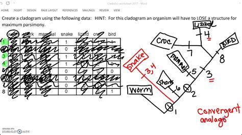 SOLUTION: Let Build a Cladogram Teacher Guide - Studypool - Worksheets Library