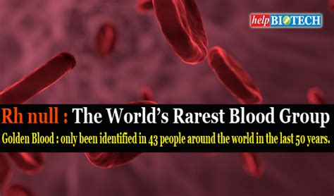 Rh null: The World's Rarest Blood Group ~ helpBIOTECH