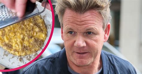 Gordon Ramsay fans liken risotto dish to 'vomit' - Entertainment Daily