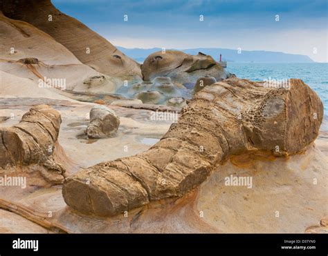 Rock Formation At Yehliu Geopark In The Shape Of An Elephant's Trunk ...