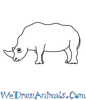 How to Draw a Rhino