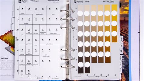 Munsell Color Chart 5yr