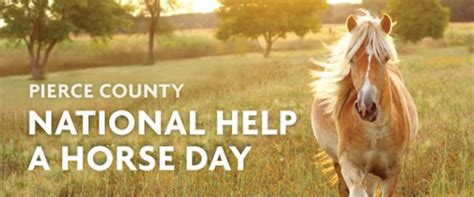County Recognizes National Help a Horse Day