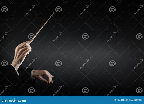 Orchestra Conductor Facing Away Stock Photography | CartoonDealer.com ...