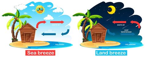 Diagram showing circulation of sea and land breeze 697224 Vector Art at Vecteezy