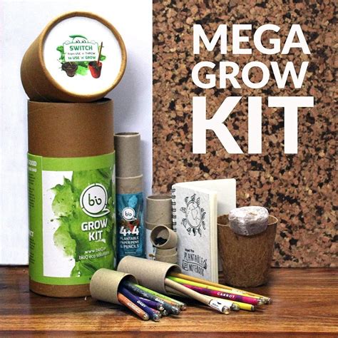 Eco-friendly Corporate Gifts: The Ultimate Guide to Inspire Green Thinking