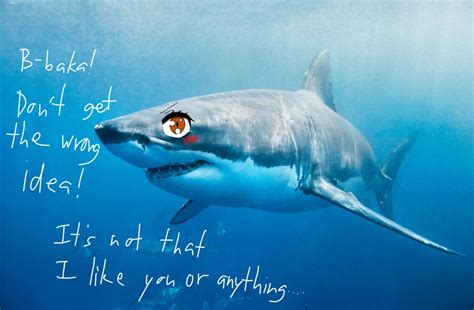 Very tsundere very shark 🦈 : r/TsundereSharks