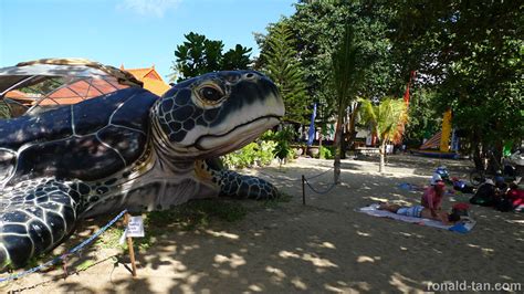 P1040963 | Kuta Beach Sea Turtle Conservation Bali. Photo us… | Flickr