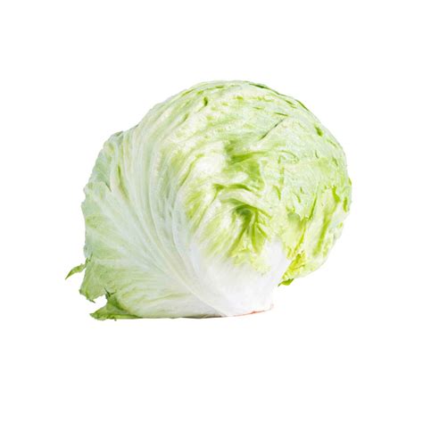 Iceberg Lettuce – Lotus Produce