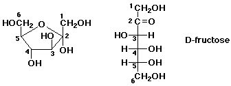 D Galactose Fischer