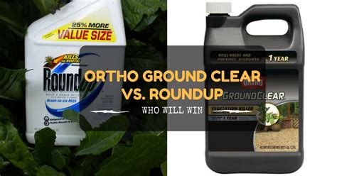 Ortho Ground Clear Vs Roundup - Who Will Win Now