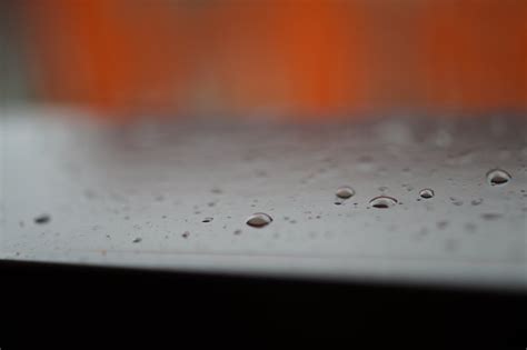 Macro Shot of Water Droplets · Free Stock Photo