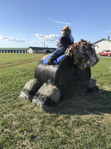 Decorative hay bale Horse 4H | Northern maine, Natural landmarks, Landmarks