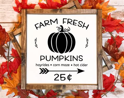 Pumpkin Patch Svg Pumpkin Patch Sign Svg Farm Fresh Pumpkins | Etsy