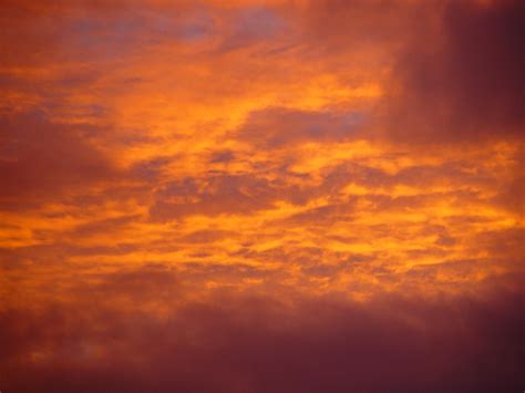 Free picture: golden, clouds, sunset