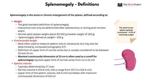 Enlarged Spleen (Splenomegaly): Symptoms, Causes Treatment, 57% OFF