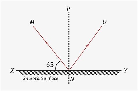 Reflection Of A Light Ray - Diagram - Free Transparent PNG Download ...