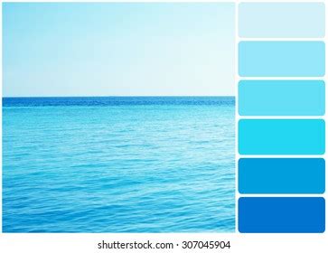 Ocean Color Palette Photos, Images & Pictures | Shutterstock