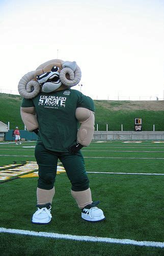 53 best images about College Mascots: MWC on Pinterest | San diego ...