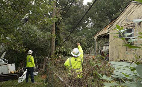 Trees, Trimming & Power Lines | Dominion Energy