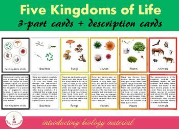 Kingdoms Of Life Worksheets - Worksheet Template Student Layla