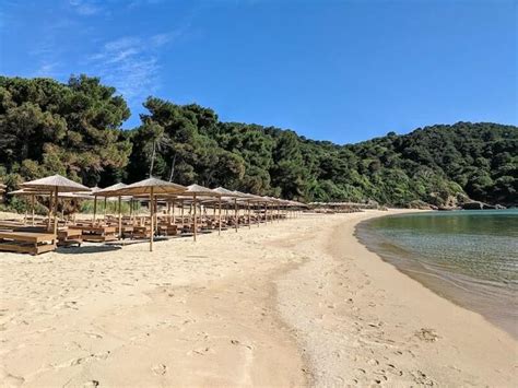 12 Beautiful Beaches on Skiathos (A Guide to Skiathos' Main Beaches) | Skiathos, Beach ...