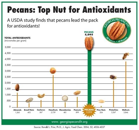 Pecan Nutrition Information - Helps Lower Cholesterol, Weight ...