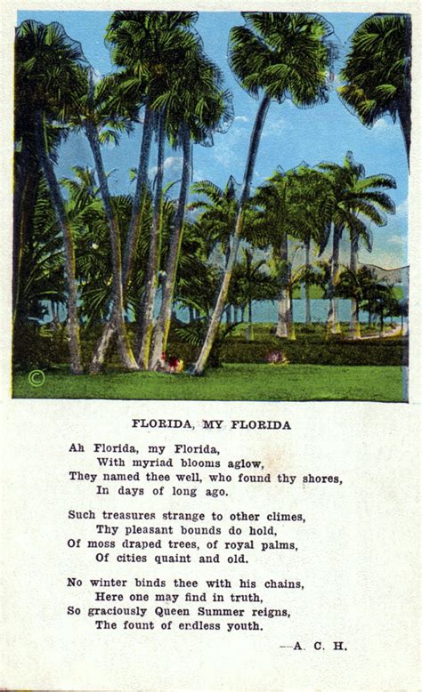 Florida Memory • Florida, my Florida.