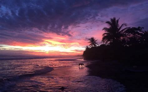 3 Incredible Beaches South of Manuel Antonio National Park - Costa Rica ...