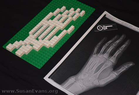 LEGO Human Anatomy « Susan's Homeschool Blog