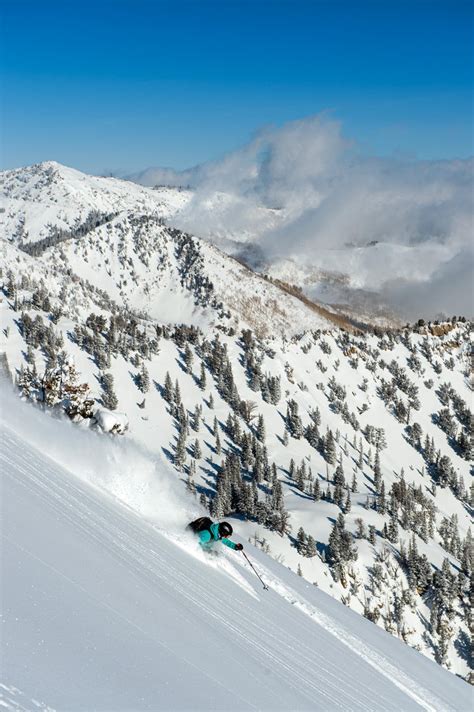 Alta Ski Area, Utah - SKI Magazine Resort Guide Review