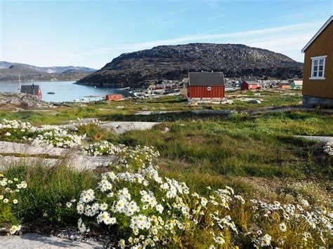 Greenland Travel Guide: How to Plan a Trip to Ilulissat