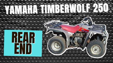 Yamaha Timberwolf 250 - Rear End - Differential - Rear Brake Replace / Install / Axle Removal ...