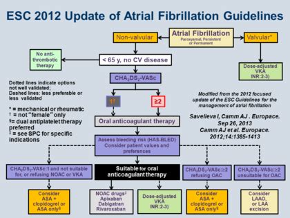 ESC 2012 Update of Atrial Fibrillation Guidelines - Oral ...