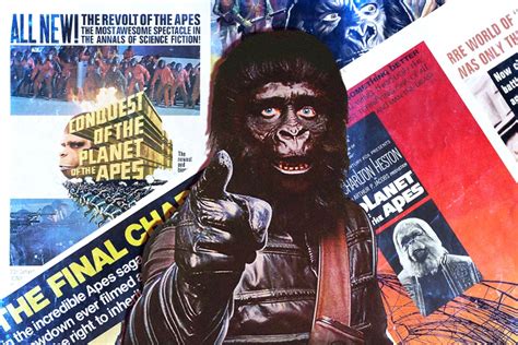 The Planet Of The Apes (1968) | Where to Stream and Watch | Decider