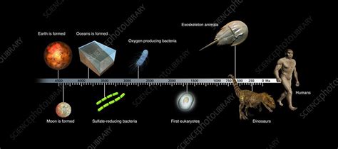 Evolution of Earth timeline, illustration - Stock Image - C026/6369 ...