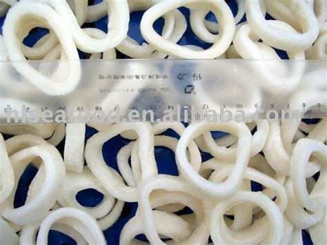 Frozen Squid Rings,China hailong price supplier - 21food