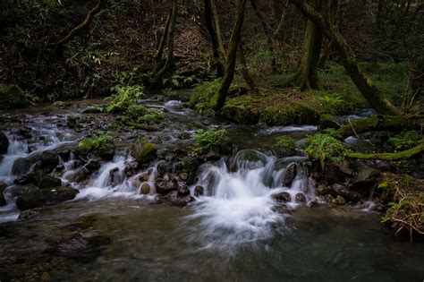 Japan,kumamoto,river,ubuyama kumamoto,valley - free image from needpix.com