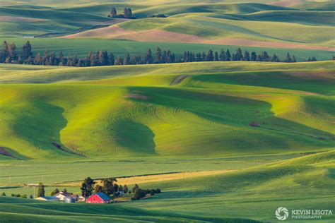 The rolling hills and patterns of the Palouse – Kevin Lisota Photography