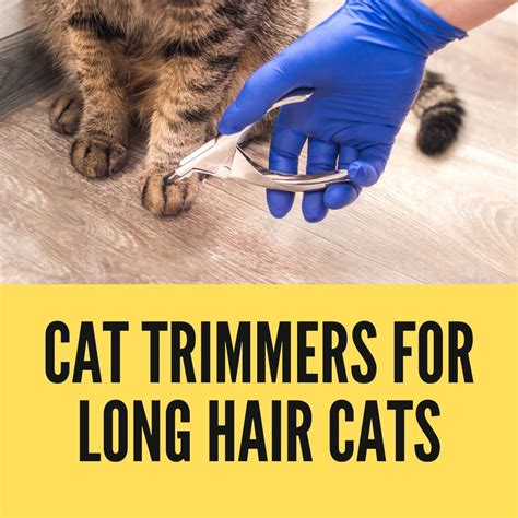 Cat Trimmers for Long Hair Cats - Birman Cats Guide