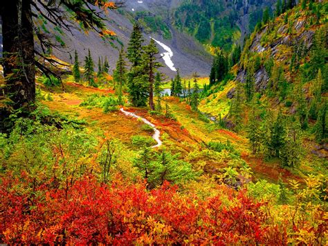 The Marble Mountain Wilderness California, USA | Пейзажи, Идеи озеленения, Осенний пейзаж