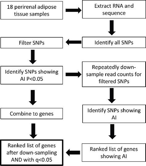 Schematic diagram of the process used for identification of marker SNPs... | Download Scientific ...