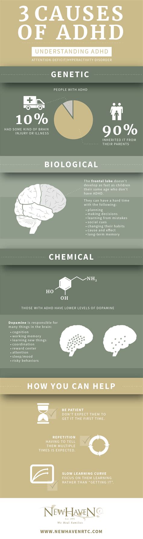 The 3 Causes of ADHD — She's Not Misbehaving, She's Learning