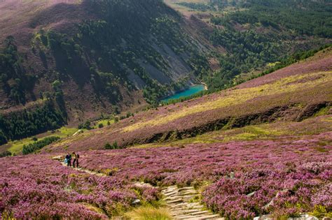 The best national parks in Scotland - Lonely Planet