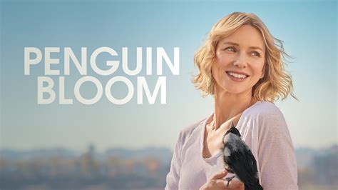 Stream Penguin Bloom Online | Download and Watch HD Movies | Stan