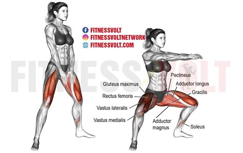 Bodyweight Sumo Squat (Legs) – Fitness Volt