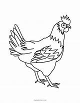 Free Printable Cute Chicken Coloring Pages Page For sketch template