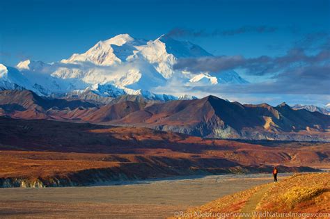 Mount Denali | Photos by Ron Niebrugge